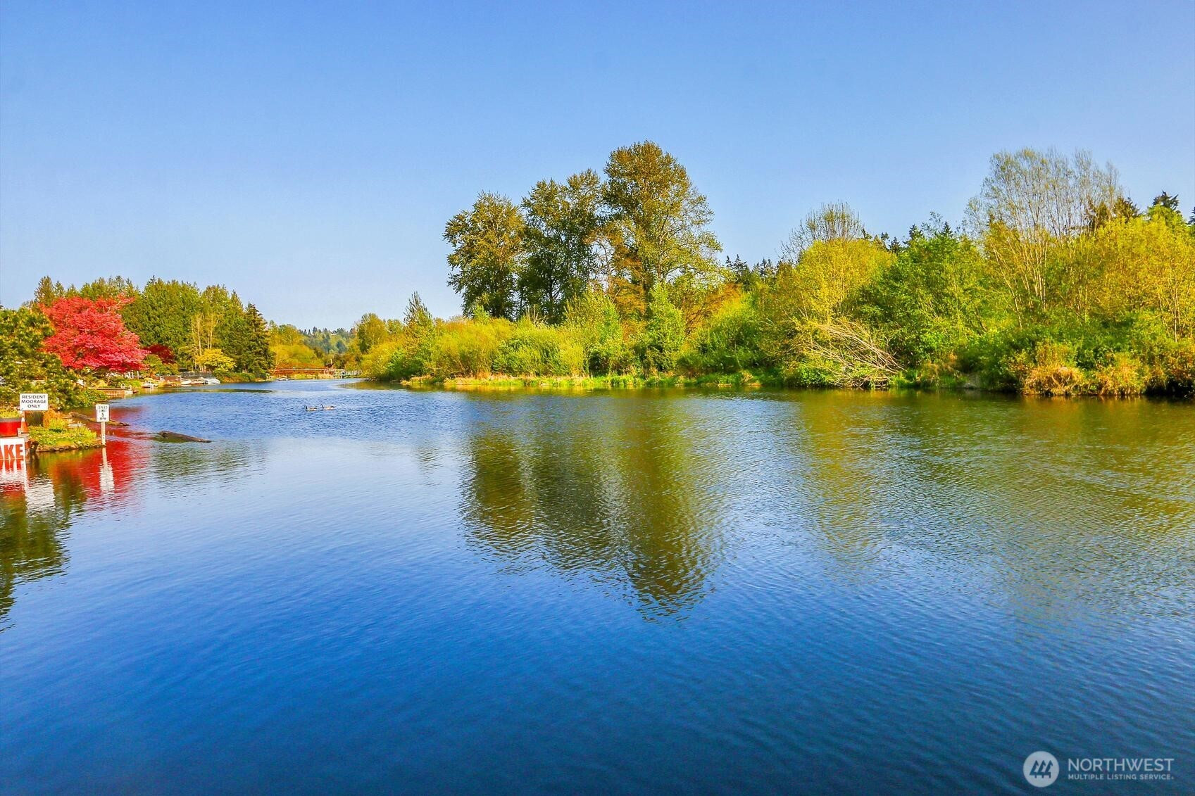 7217 NE 175th Street, Kenmore, WA 98028