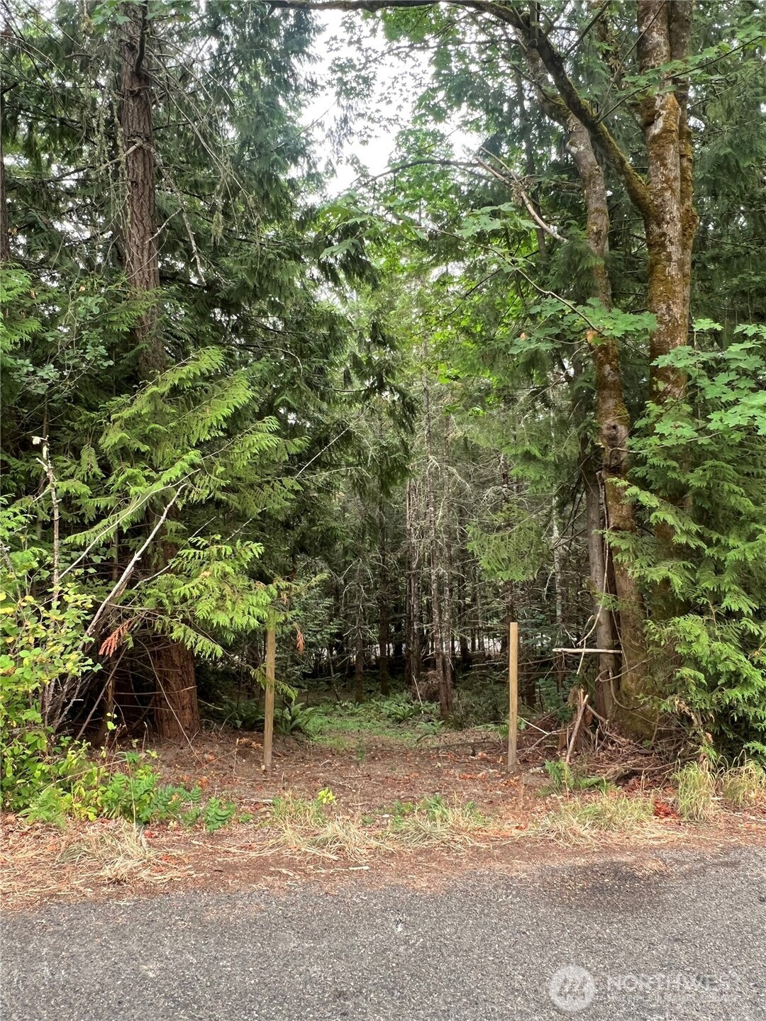 5503 Lackey Court NW, Vaughn, WA 98394