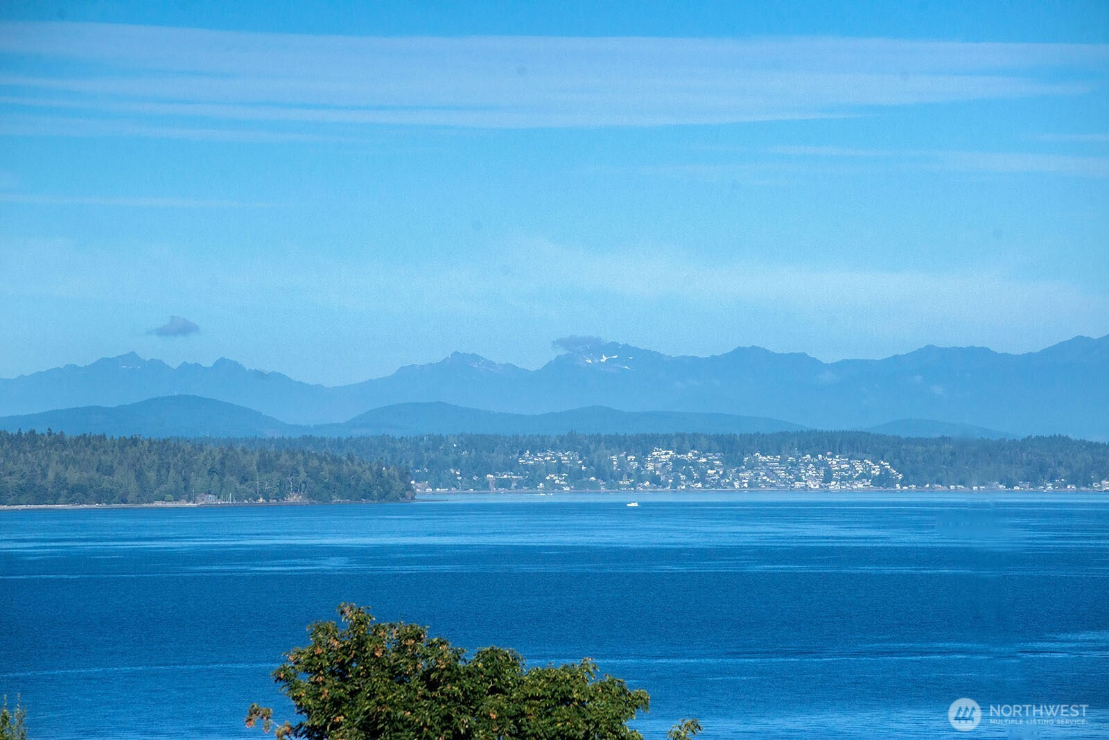 7019 47th Avenue SW, Seattle, WA 98136