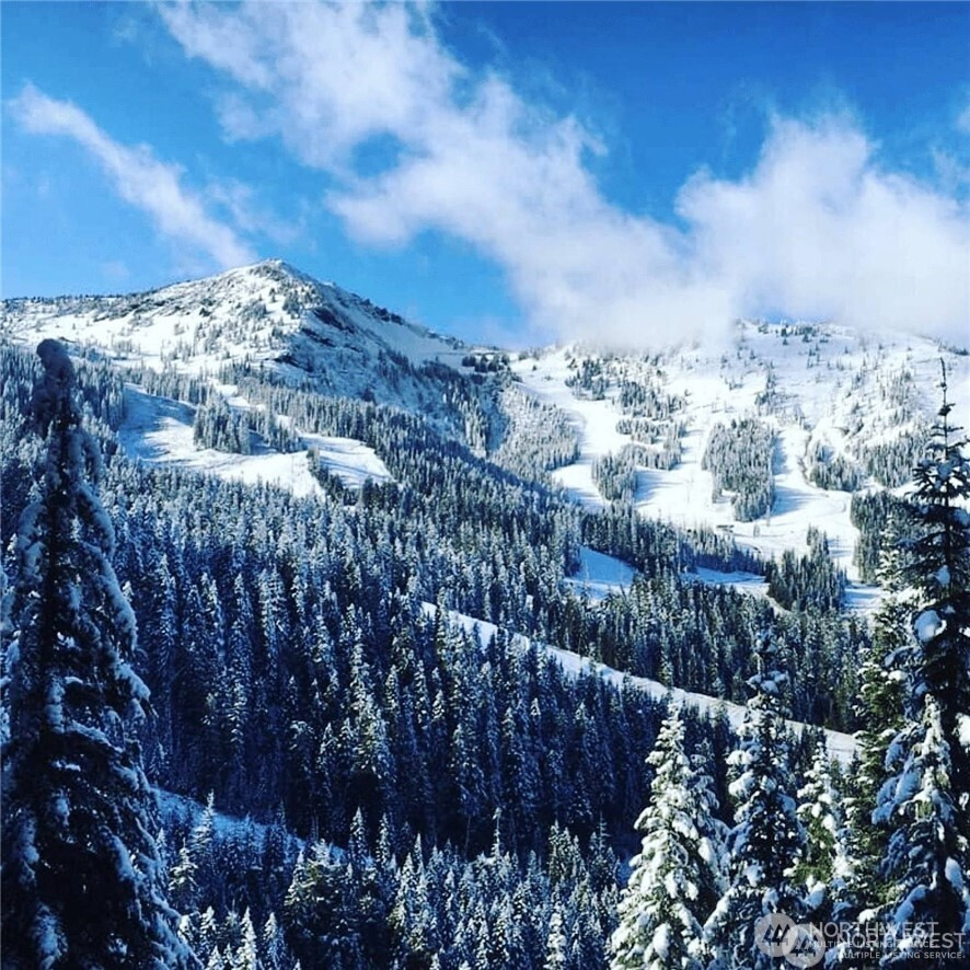 319 Gold Hill Rd Lot 4, Greenwater, WA 98022