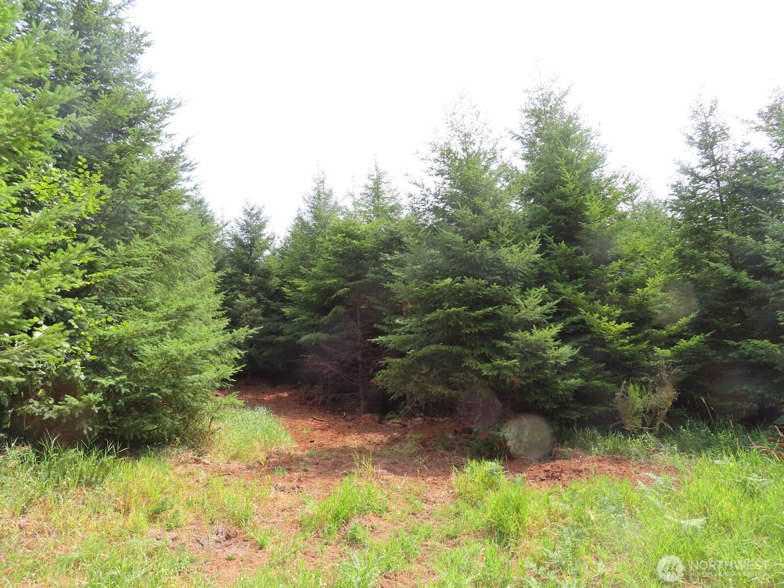 0 Lot E Mill Creek Lane, Longview, WA 98632