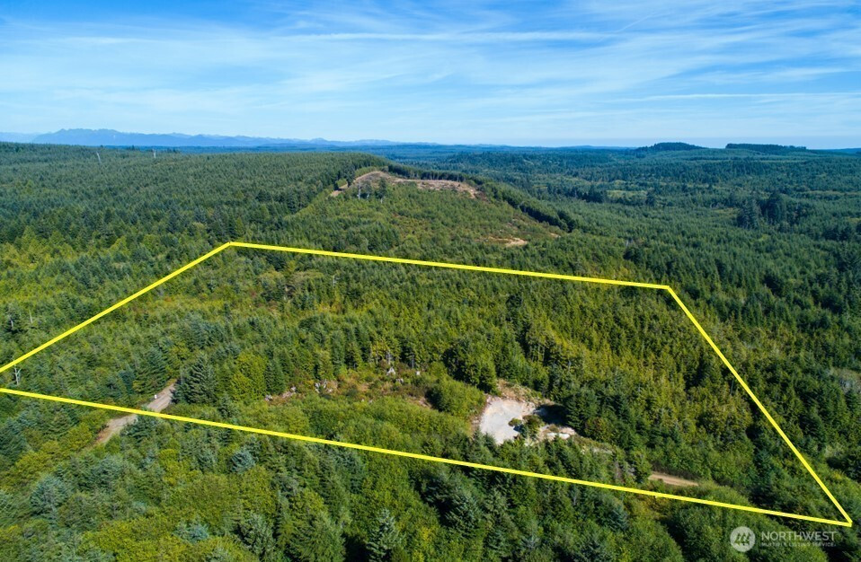 50 Moclips Hill Lane, Moclips, WA 98562