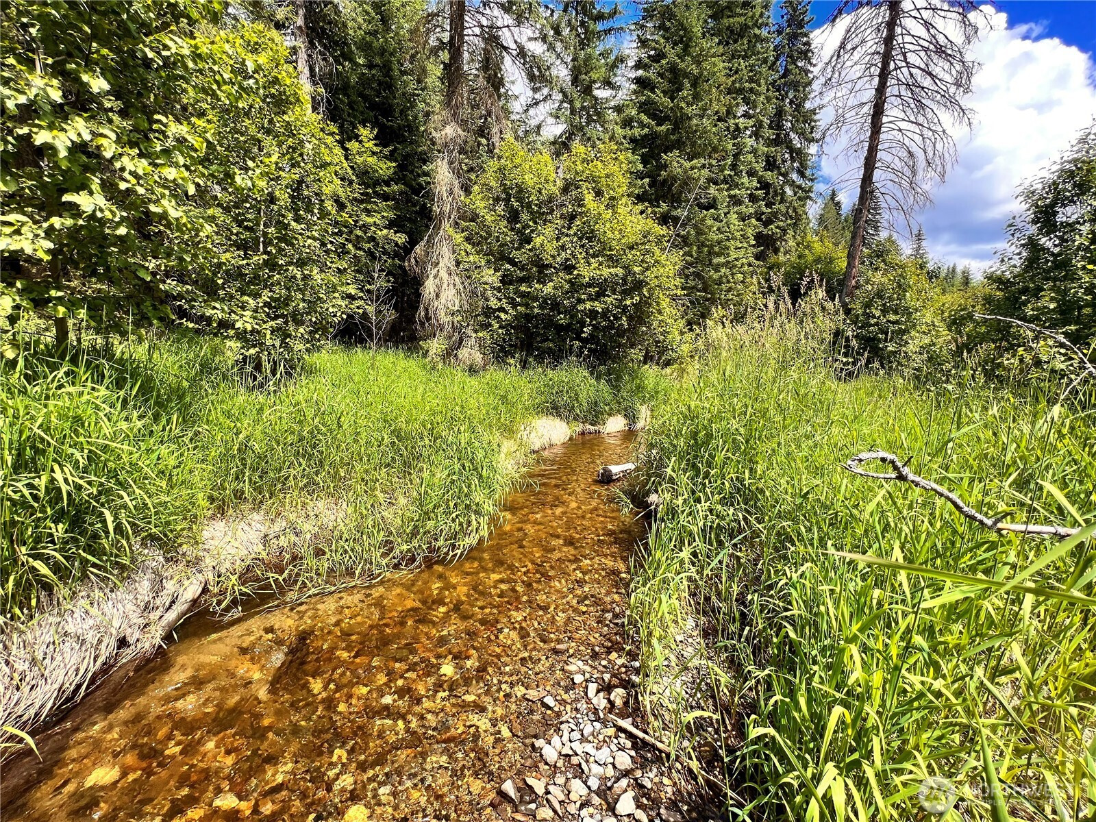 0 Lambert Creek Road, Republic, WA 99166