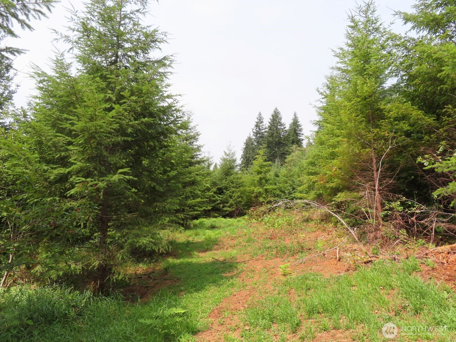 0 Lot H Mill Creek Lane, Longview, WA 98632