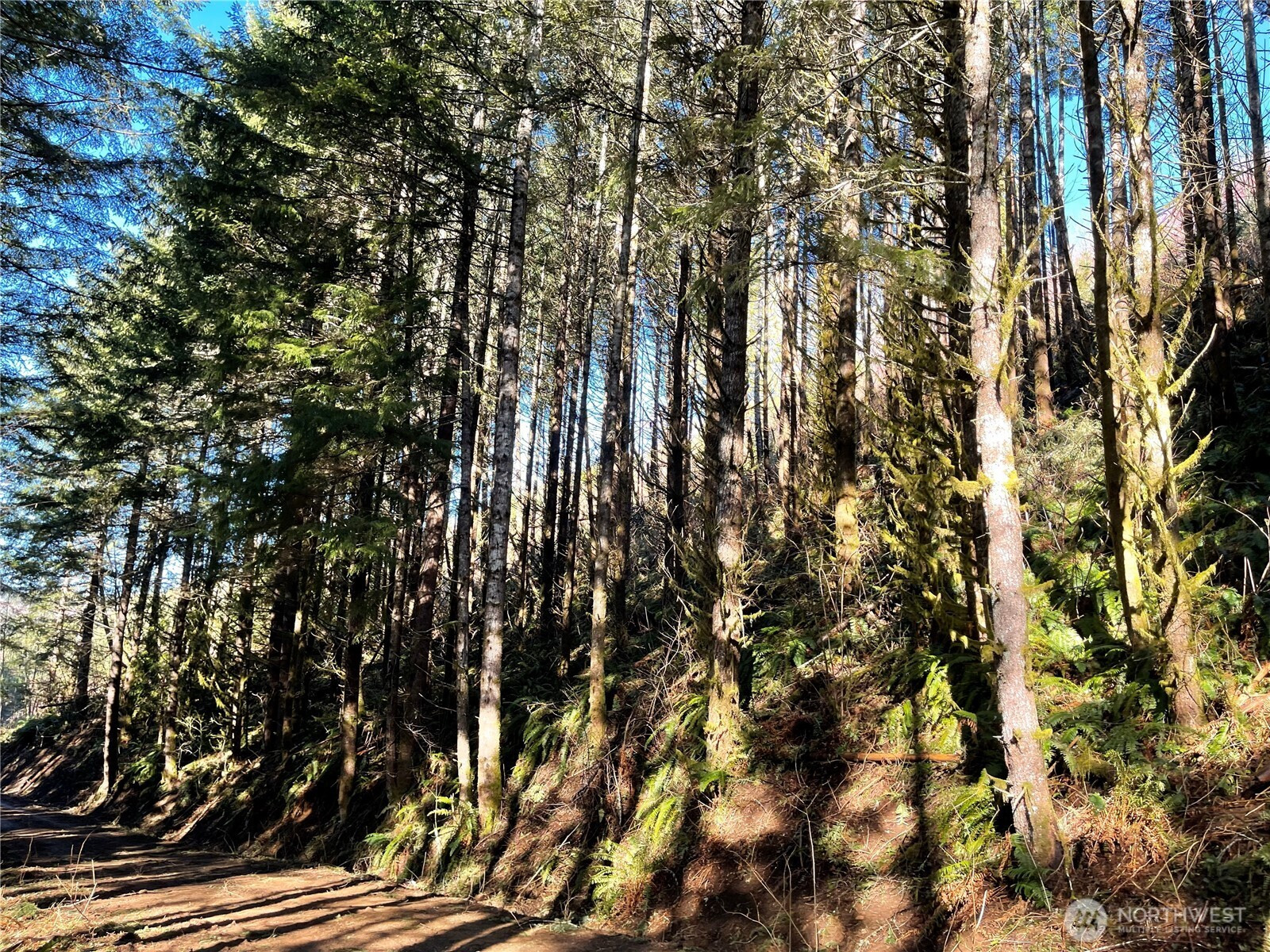 400 XX Short Road, Morton, WA 98356