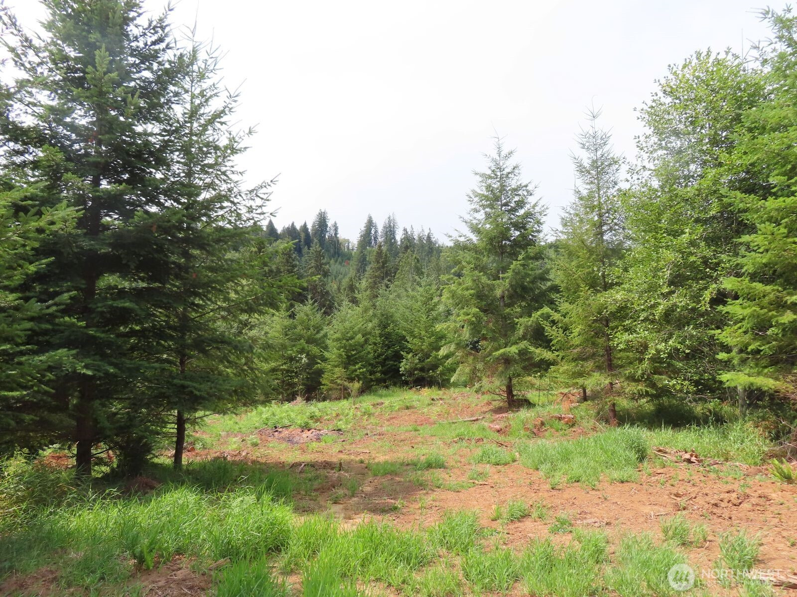 0 Lot I Mill Creek Lane, Longview, WA 98632