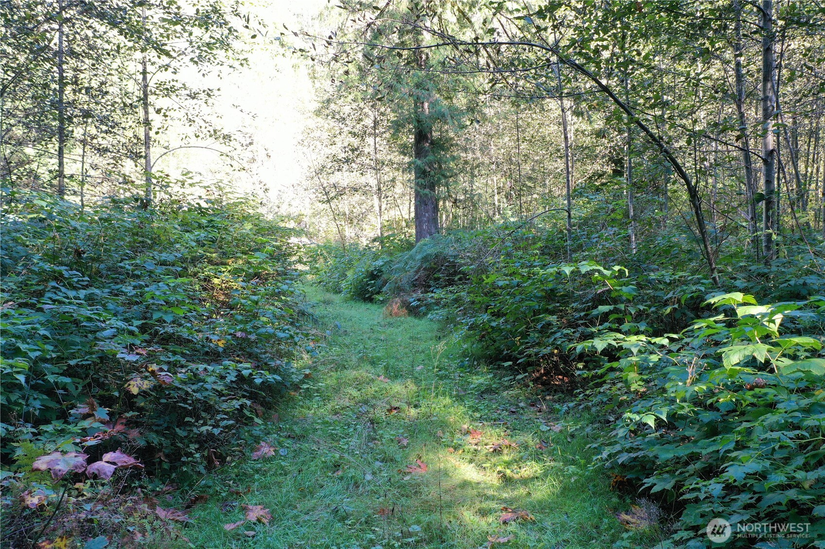 0 Index Galina Road, Index, WA 98526