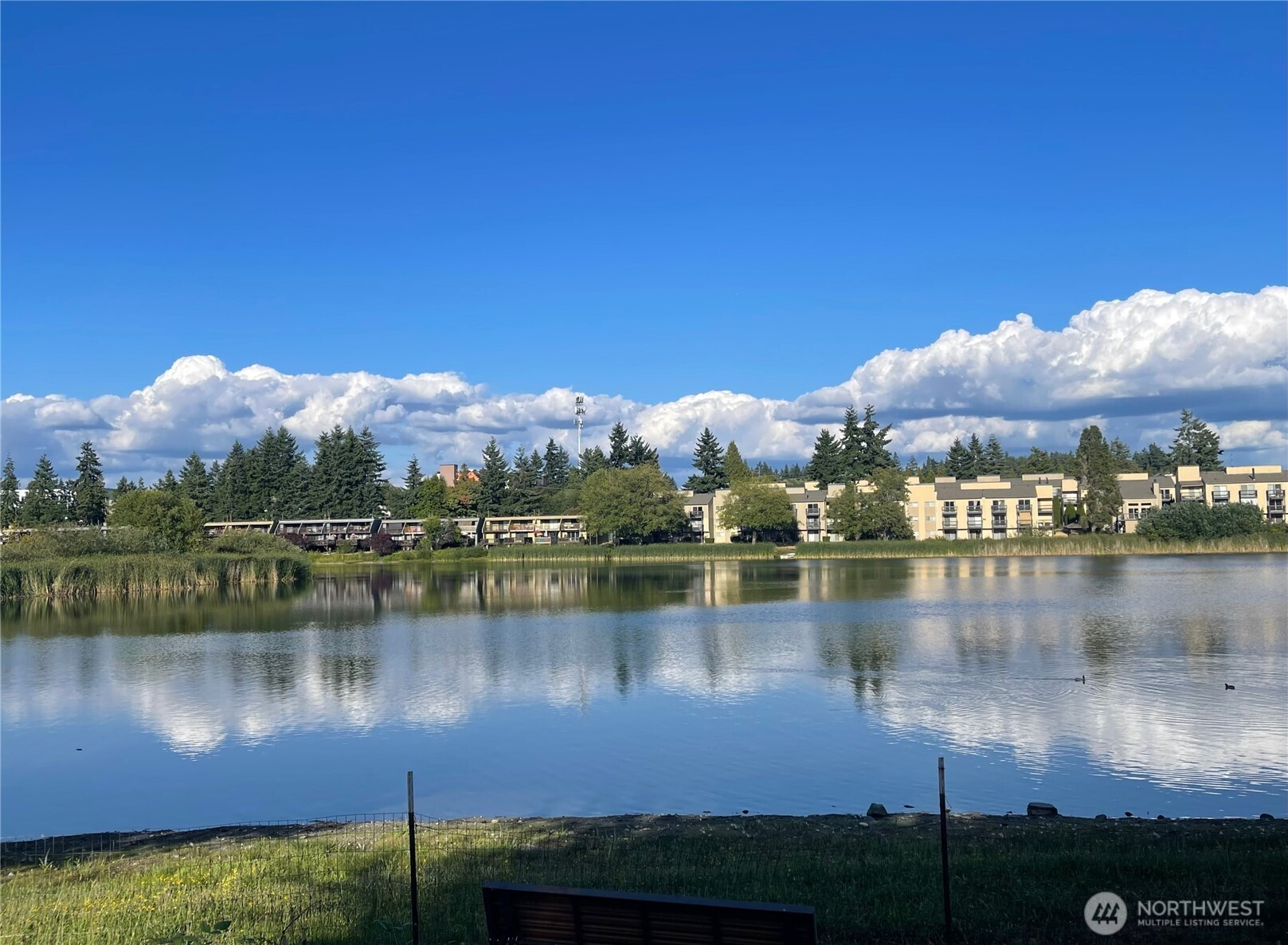 1006 S 312th Street, Federal Way, WA 98003