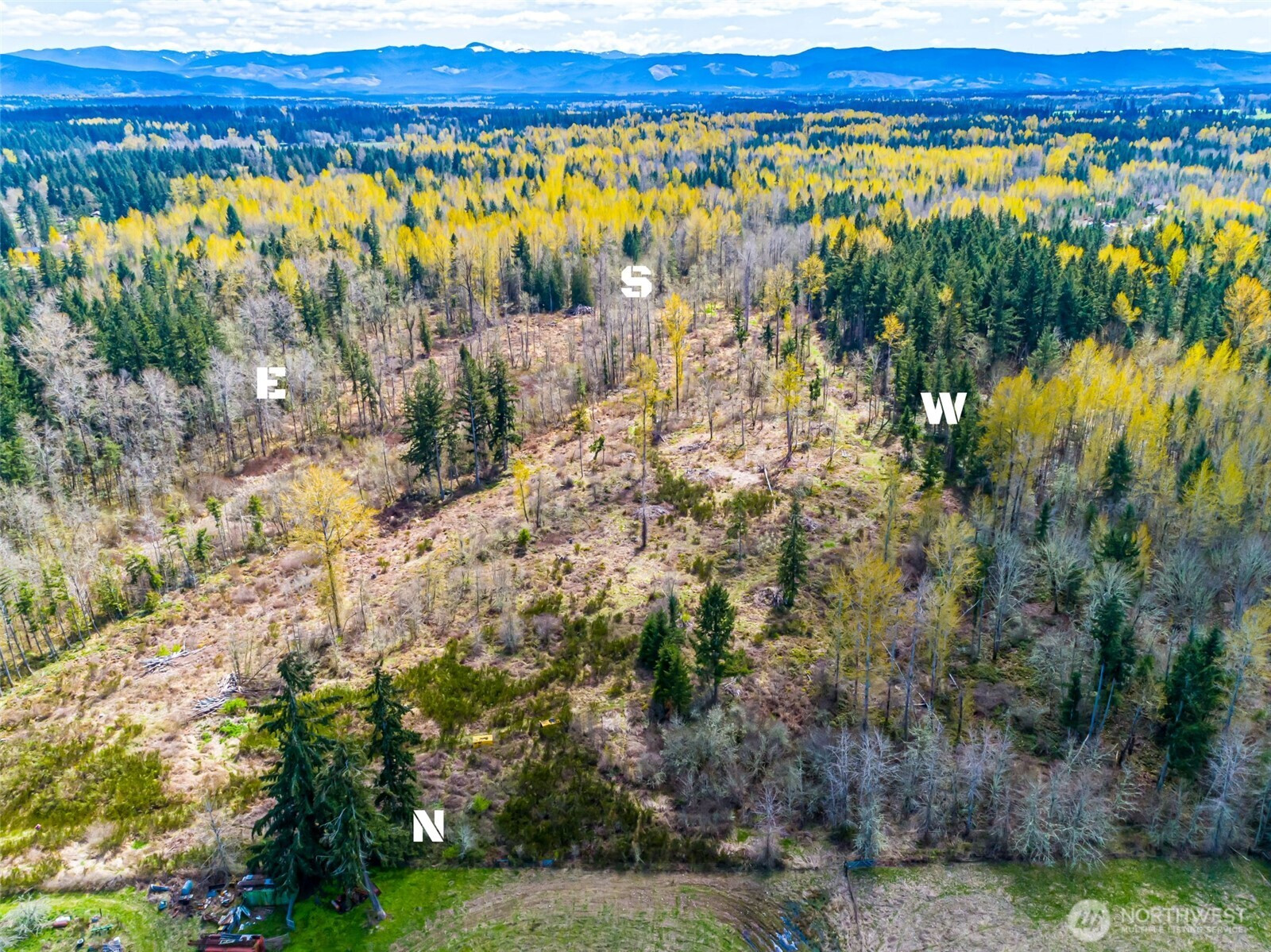 0 40th Avenue S, Roy, WA 98580