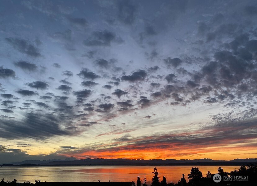 1497 Thompson Drive, Camano Island, WA 98282