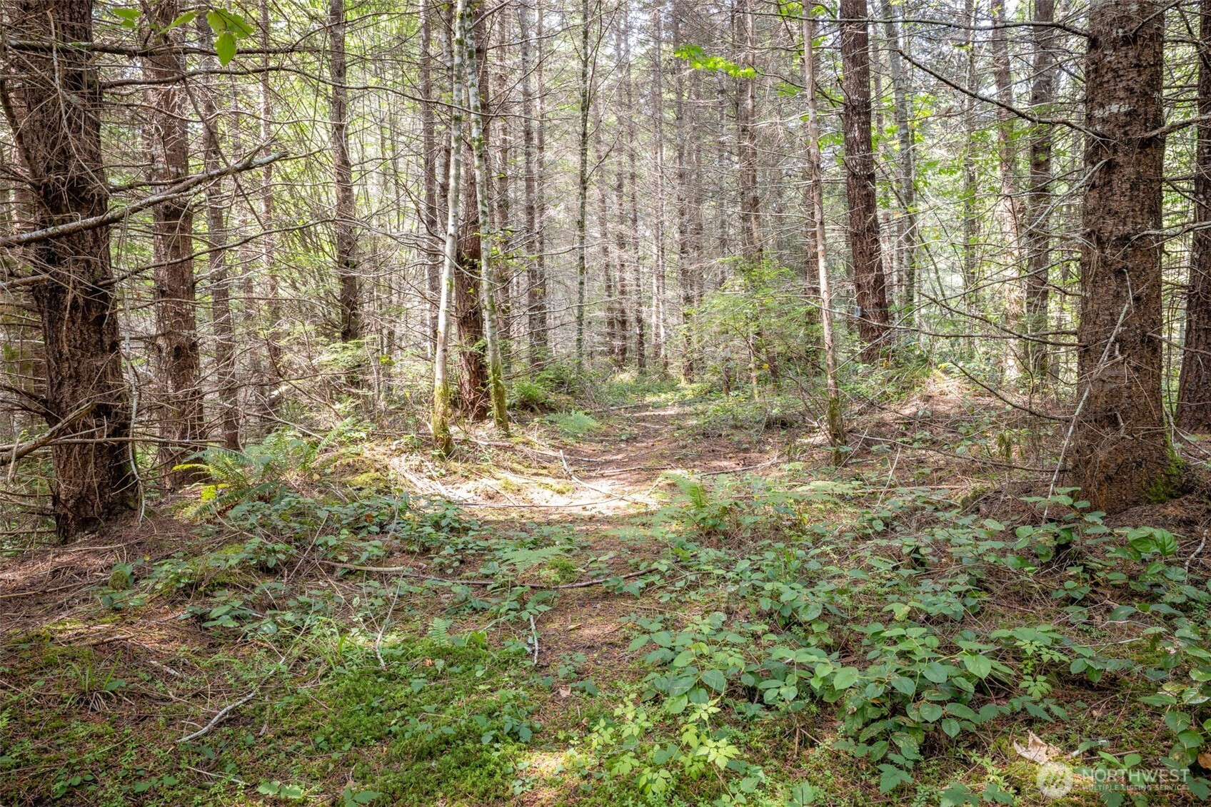 101 Durrwachter, Port Angeles, WA 98363