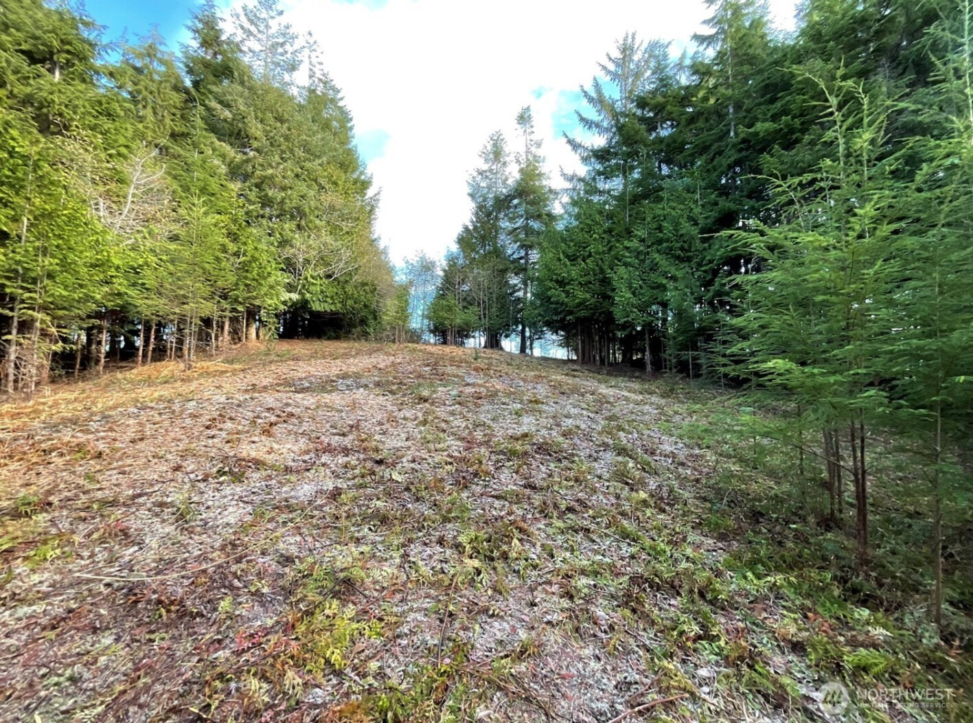 29 Spruce Court, South Bend, WA 98586