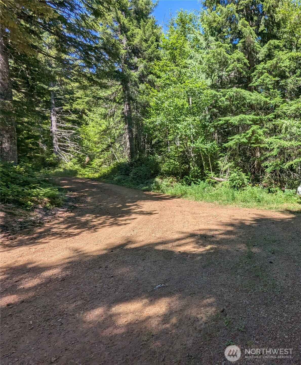111 Dow Mtn Road, Hoodsport, WA 98548
