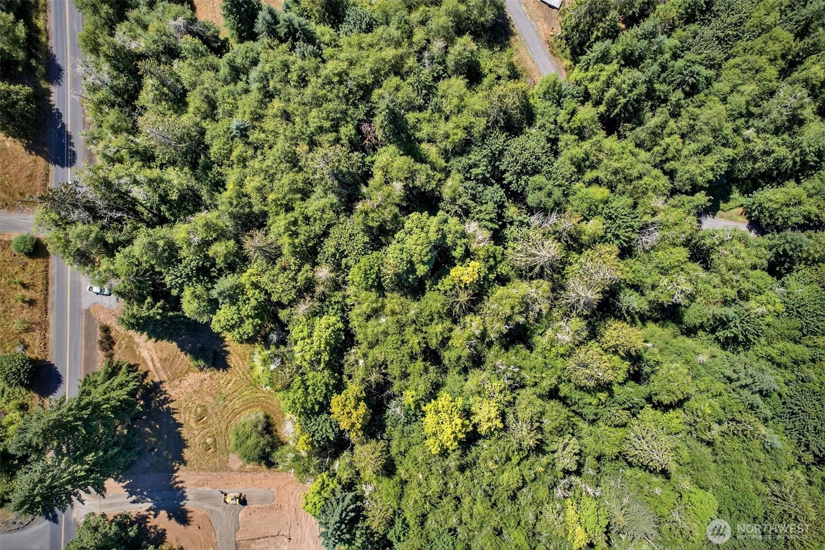 956 Paine Road, Castle Rock, WA 98611