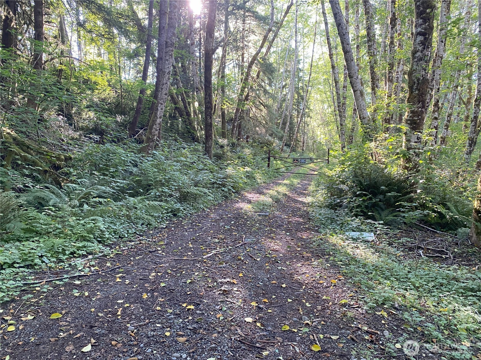 565 Kallman Rd, Forks, WA 98331
