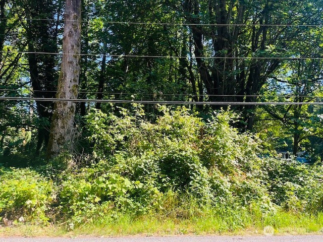 0 XXX Cape Horn Drive, Concrete, WA 98237