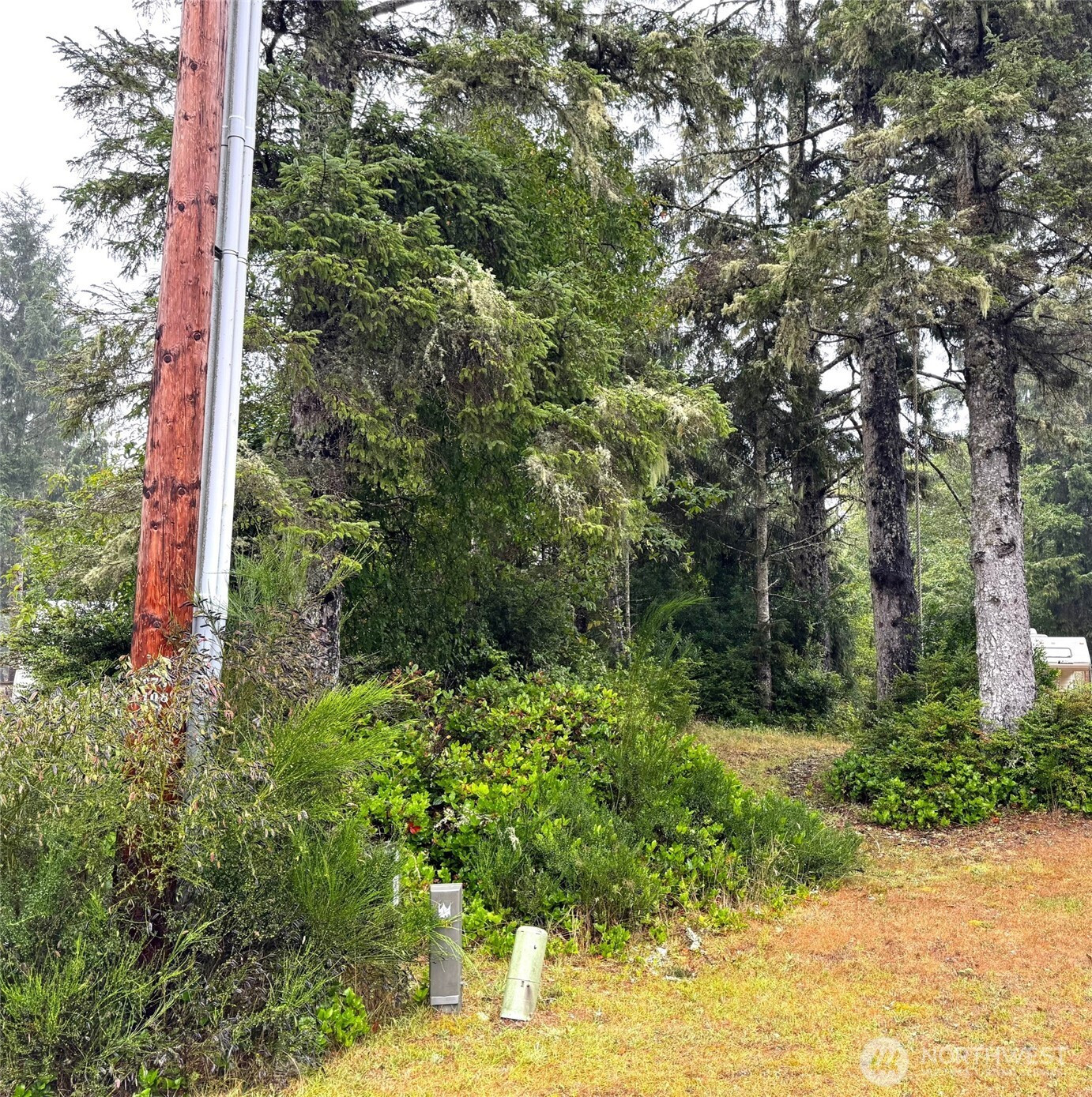 815 Scaup Court SE, Ocean Shores, WA 98569