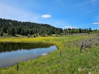 166 Mary Ann Creek Road, Oroville, WA 98844