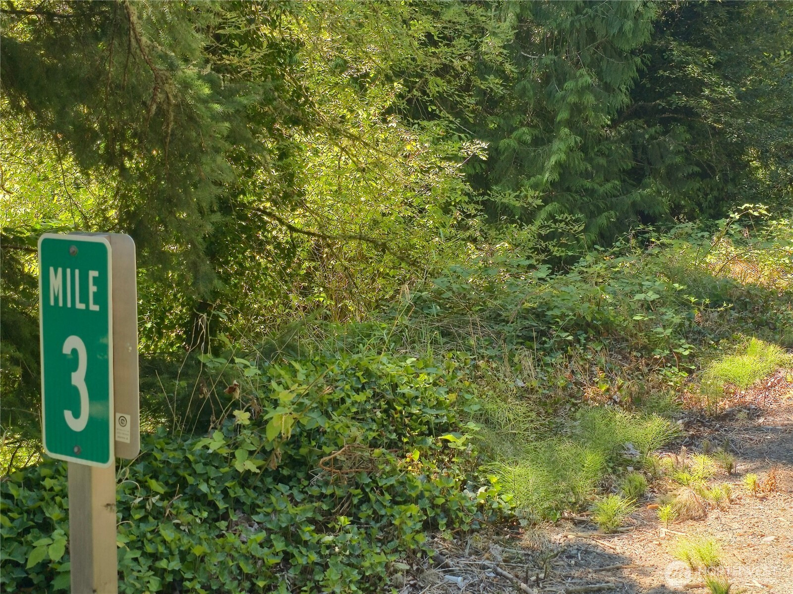38025 Orville Road E, Eatonville, WA 98360