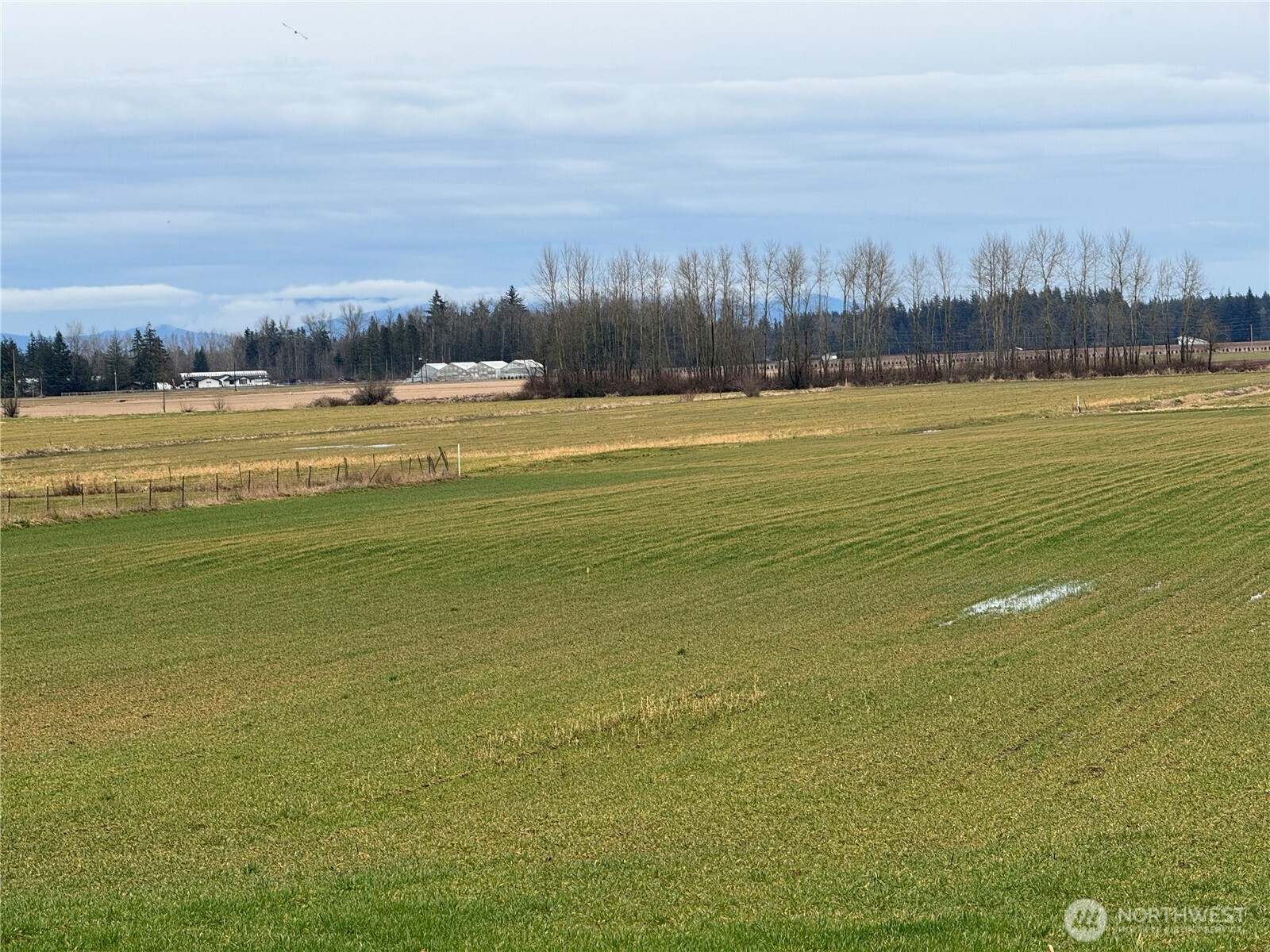 1429 W Badger, Custer, WA 98240