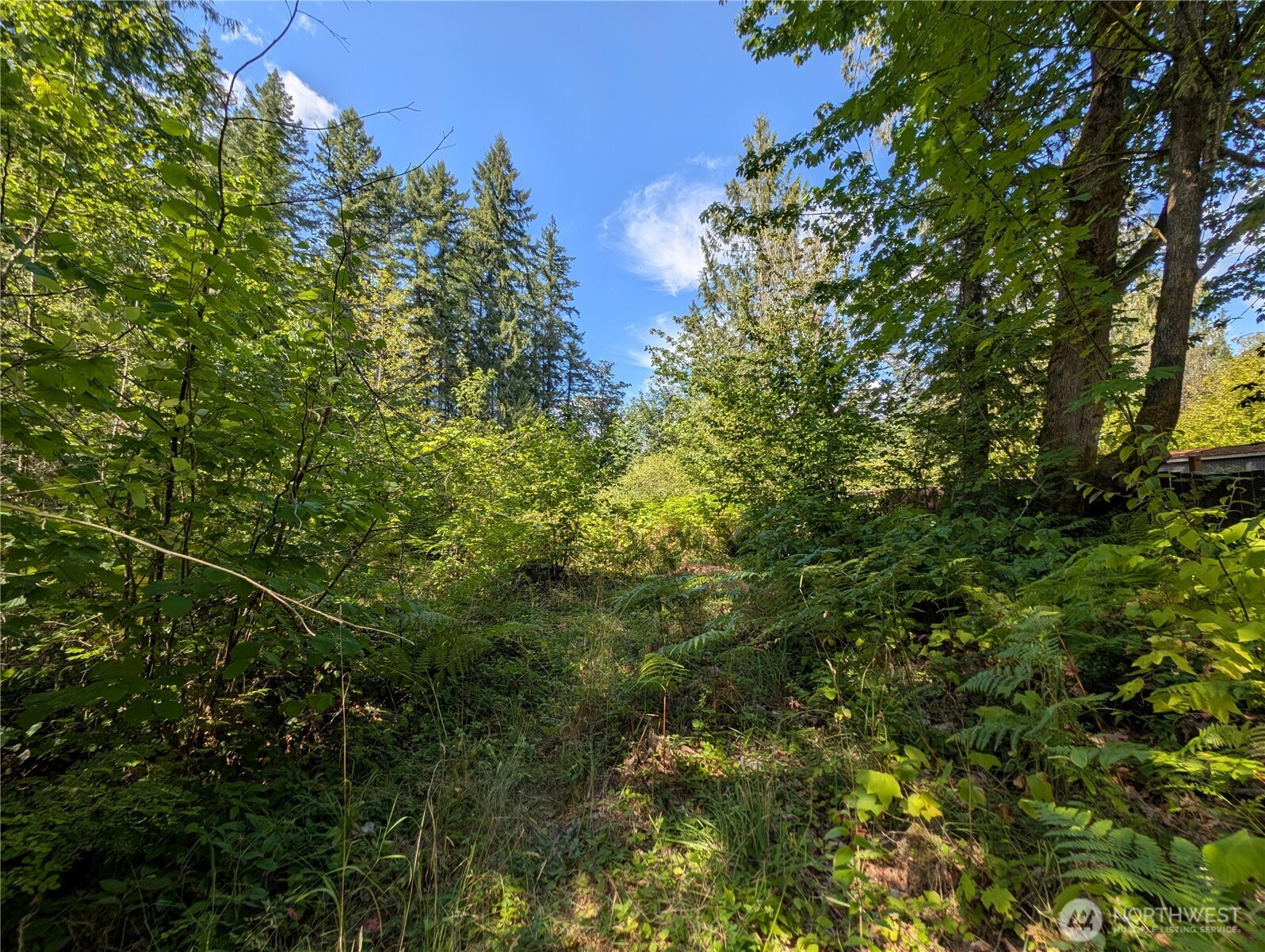 46017 Baker Drive, Concrete, WA 98237