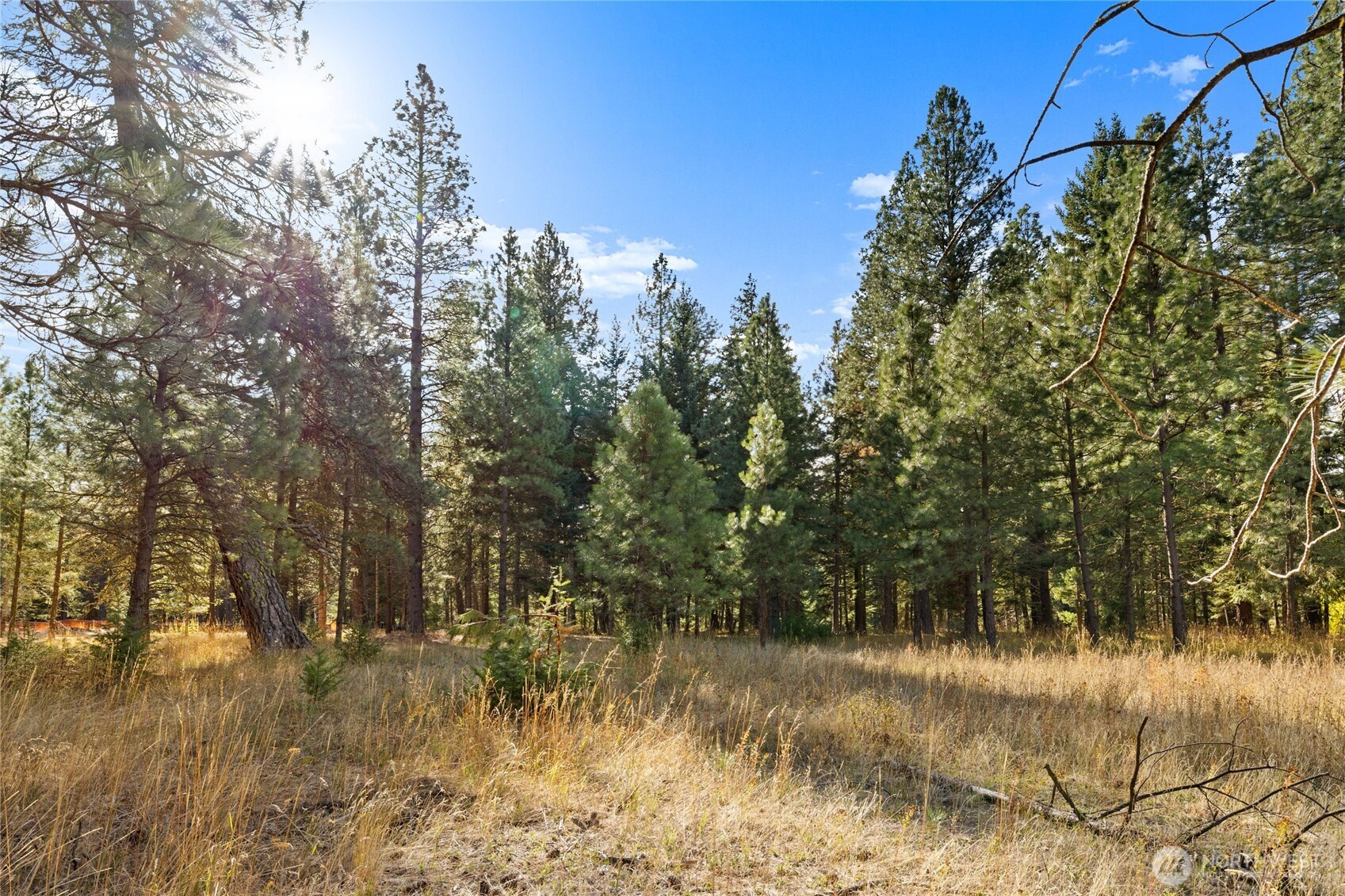 15 Farmhouse Way, Cle Elum, WA 98922