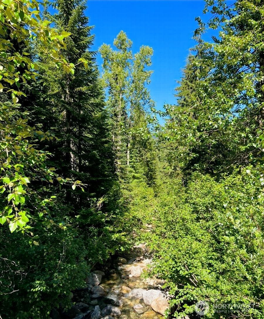 34119 N Nason Road, Leavenworth, WA 98826