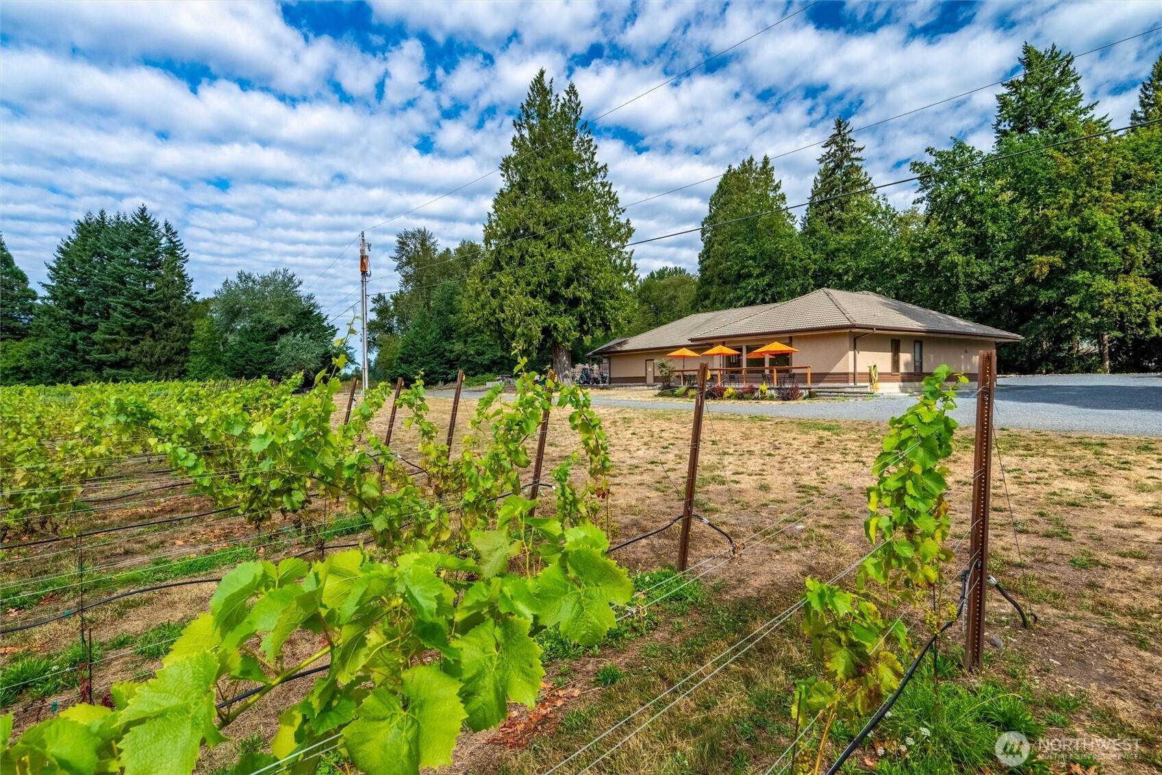 4290 Mount Baker Highway, Everson, WA 98247