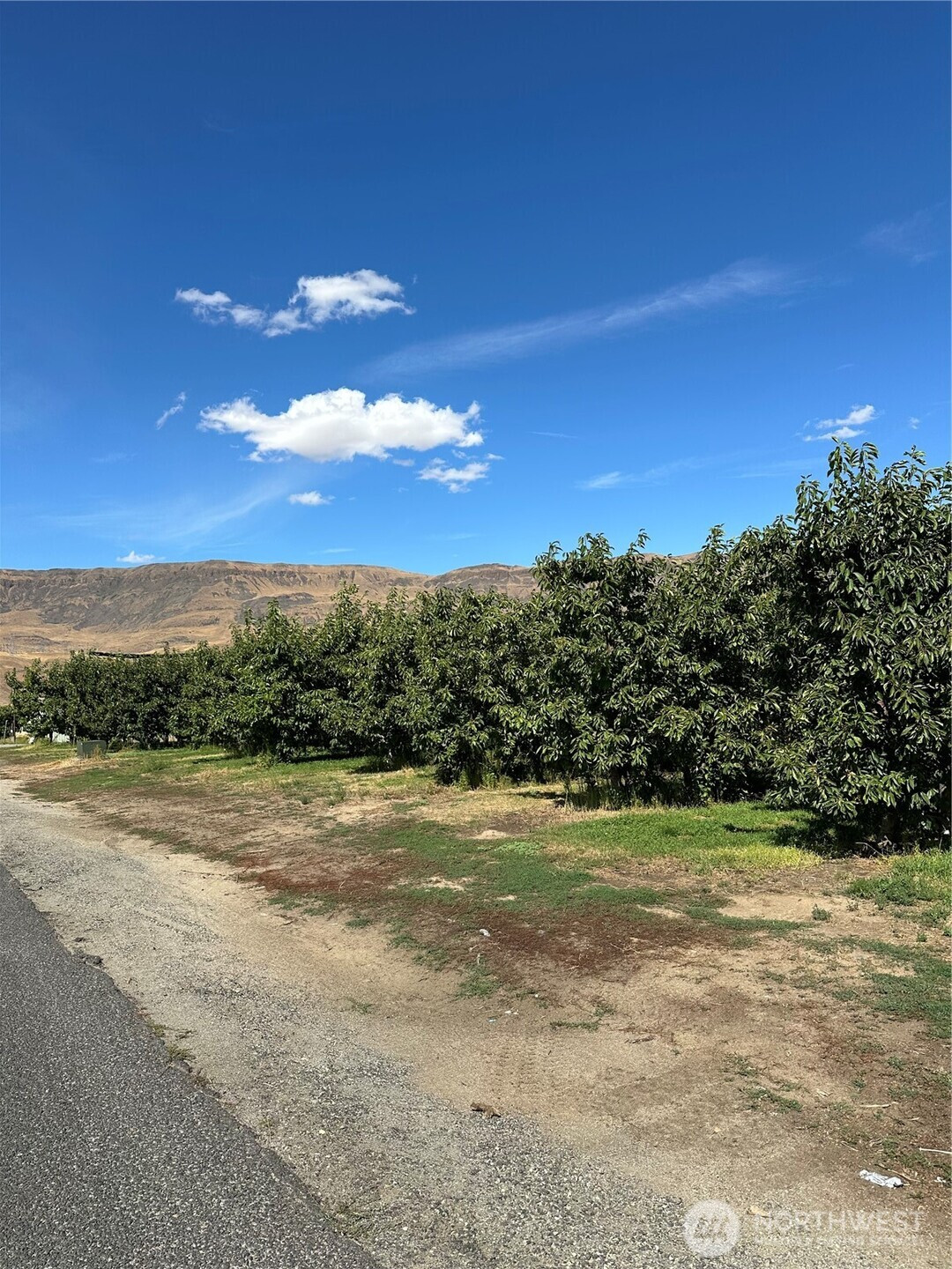 539 S Webb Avenue, East Wenatchee, WA 98802
