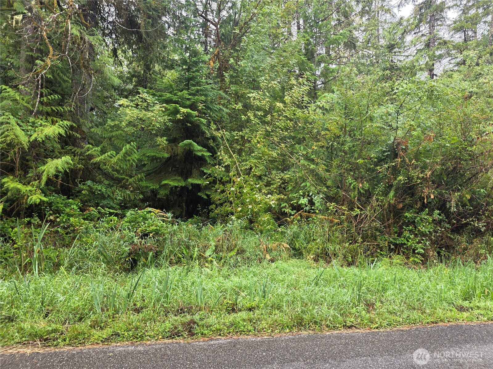 1581 E PHILLIPS LAKE LOOP Road, Shelton, WA 98584