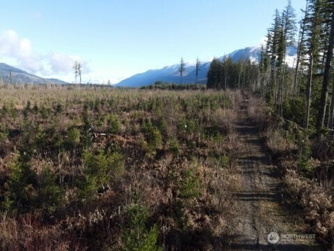 9523 Heady Road, Sumas, WA 98295