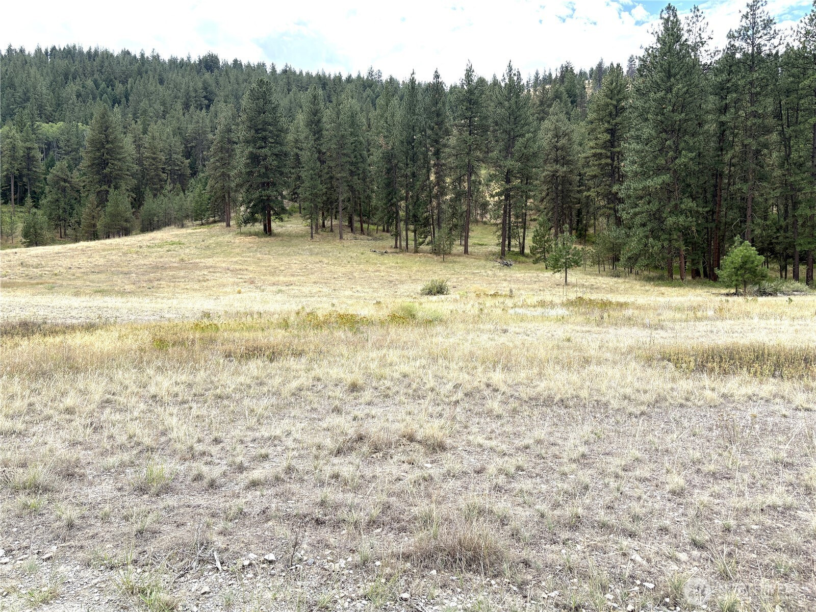 0 Sorona Way, Tonasket, WA 98855