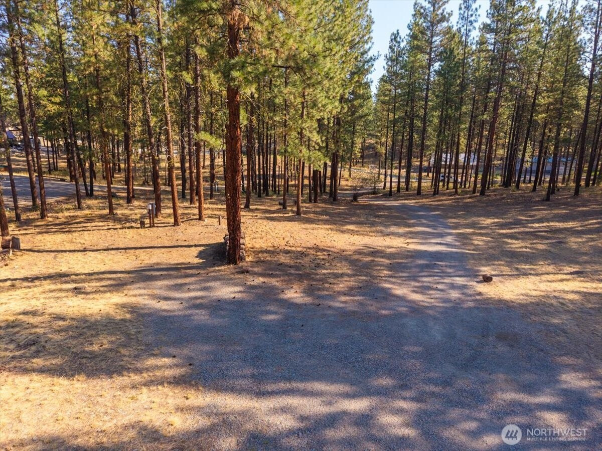 96 Twin Lakes Drive, Winthrop, WA 98862