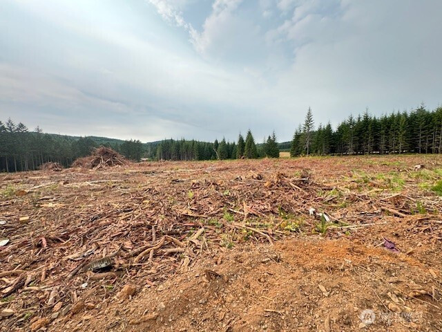 120 Woodberry Lane, Winlock, WA 98596