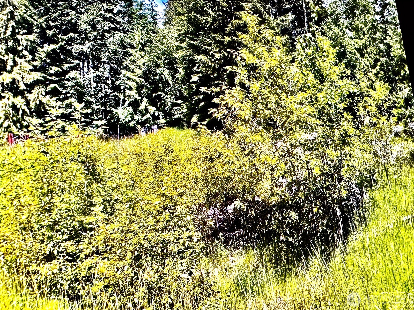 2721 158th Avenue SW, Lakebay, WA 98340