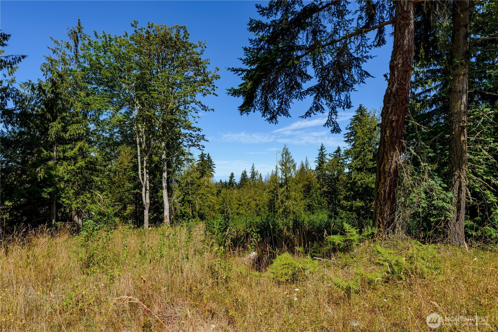 1 Township Line Road, Port Angeles, WA 98362