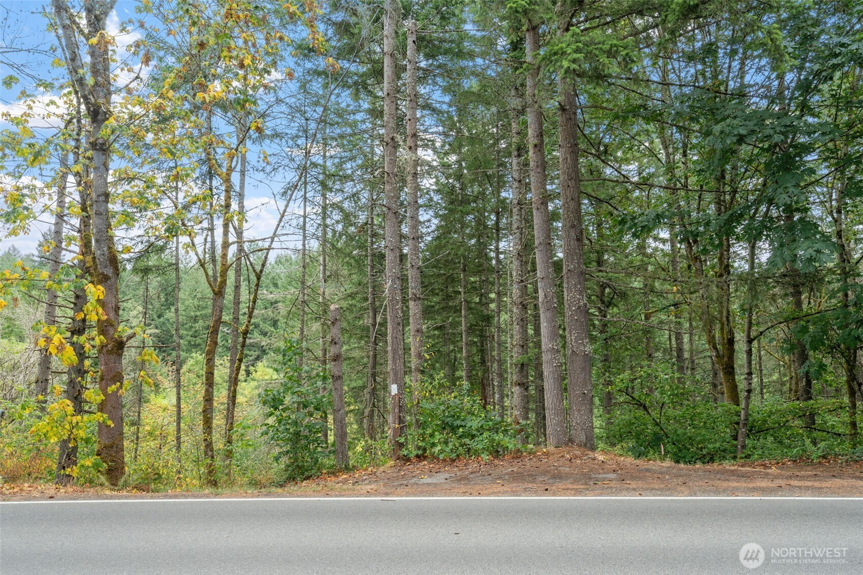 17614 Clearlake Boulevard SE, Yelm, WA 98597