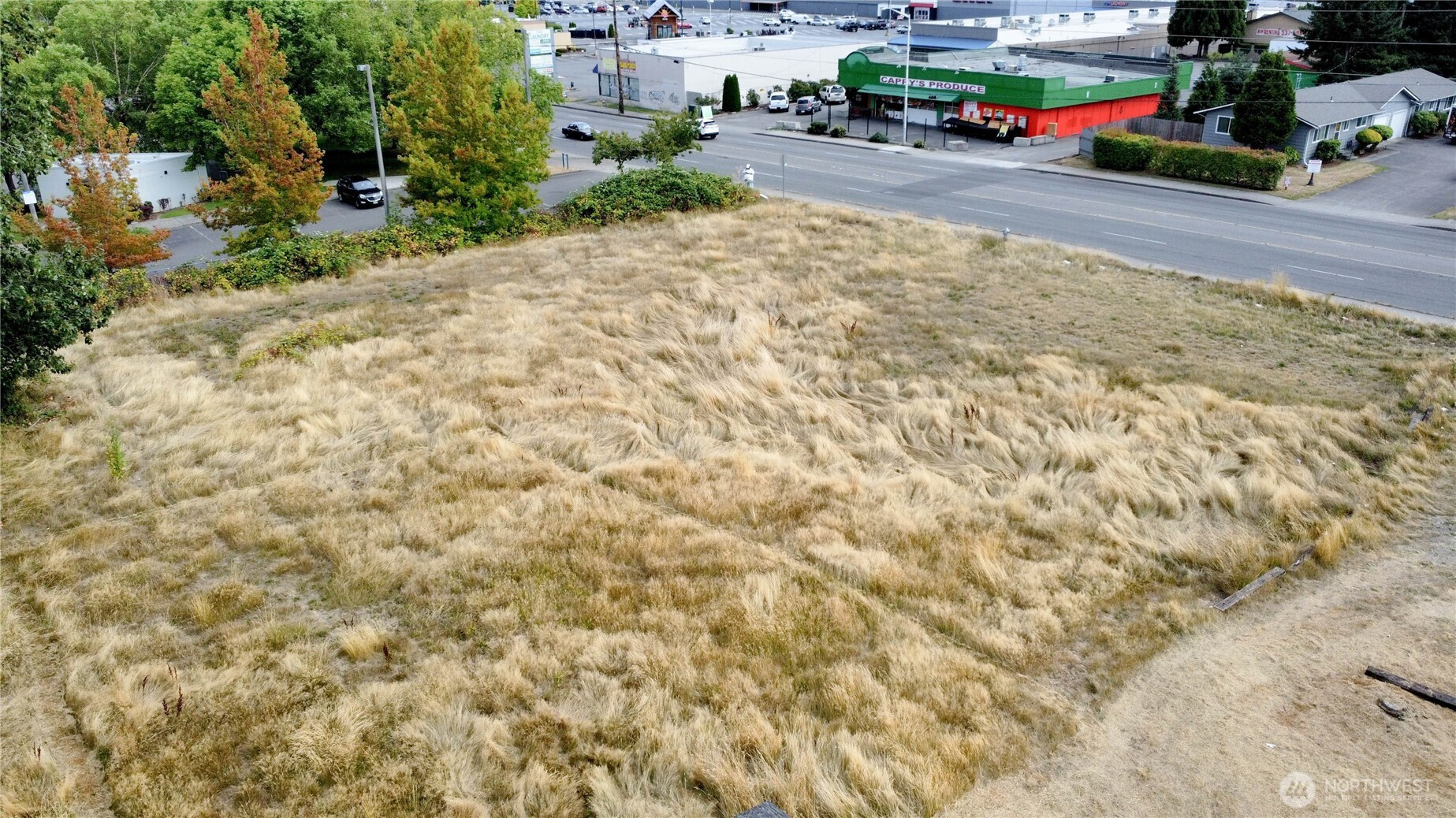 1229 E 72nd Street, Tacoma, WA 98404