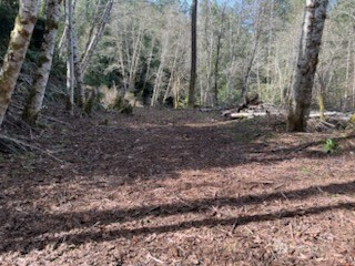61 E woods Place, Belfair, WA 98528