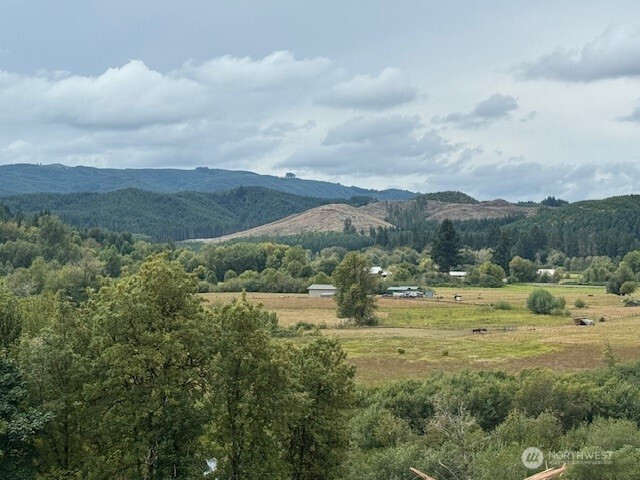 0 Garrard Creek Road, Oakville, WA 98568