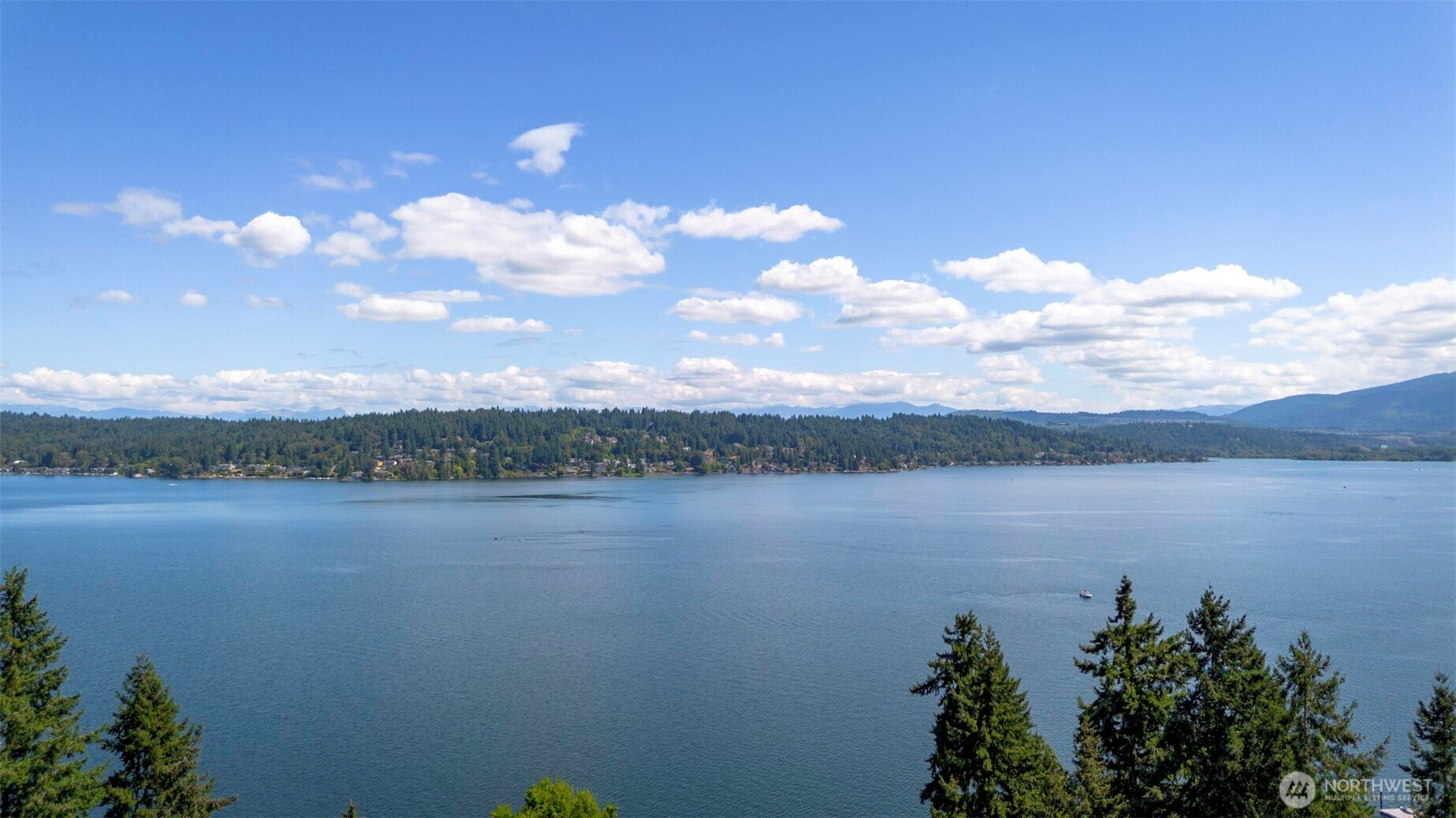 2500 171st Avenue SE, Bellevue, WA 98008