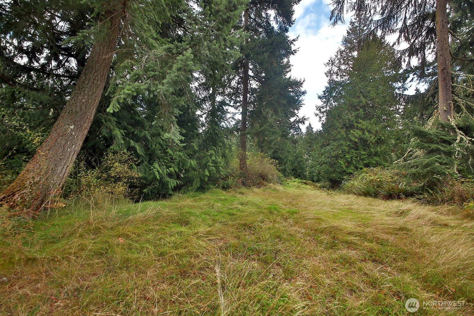 0 Lot E Saratoga Road, Langley, WA 98260