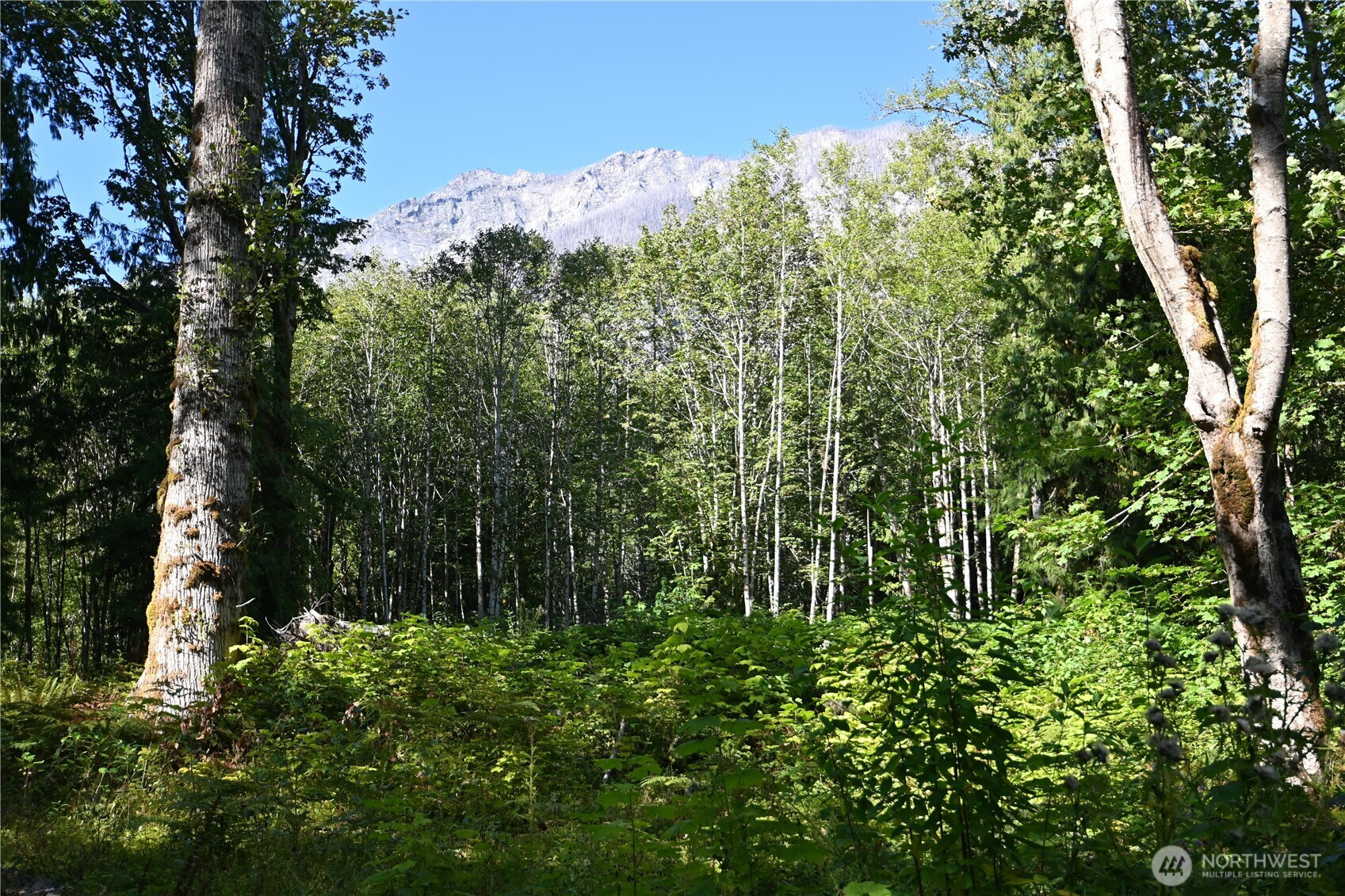 0 SR 2, Baring, WA 98224