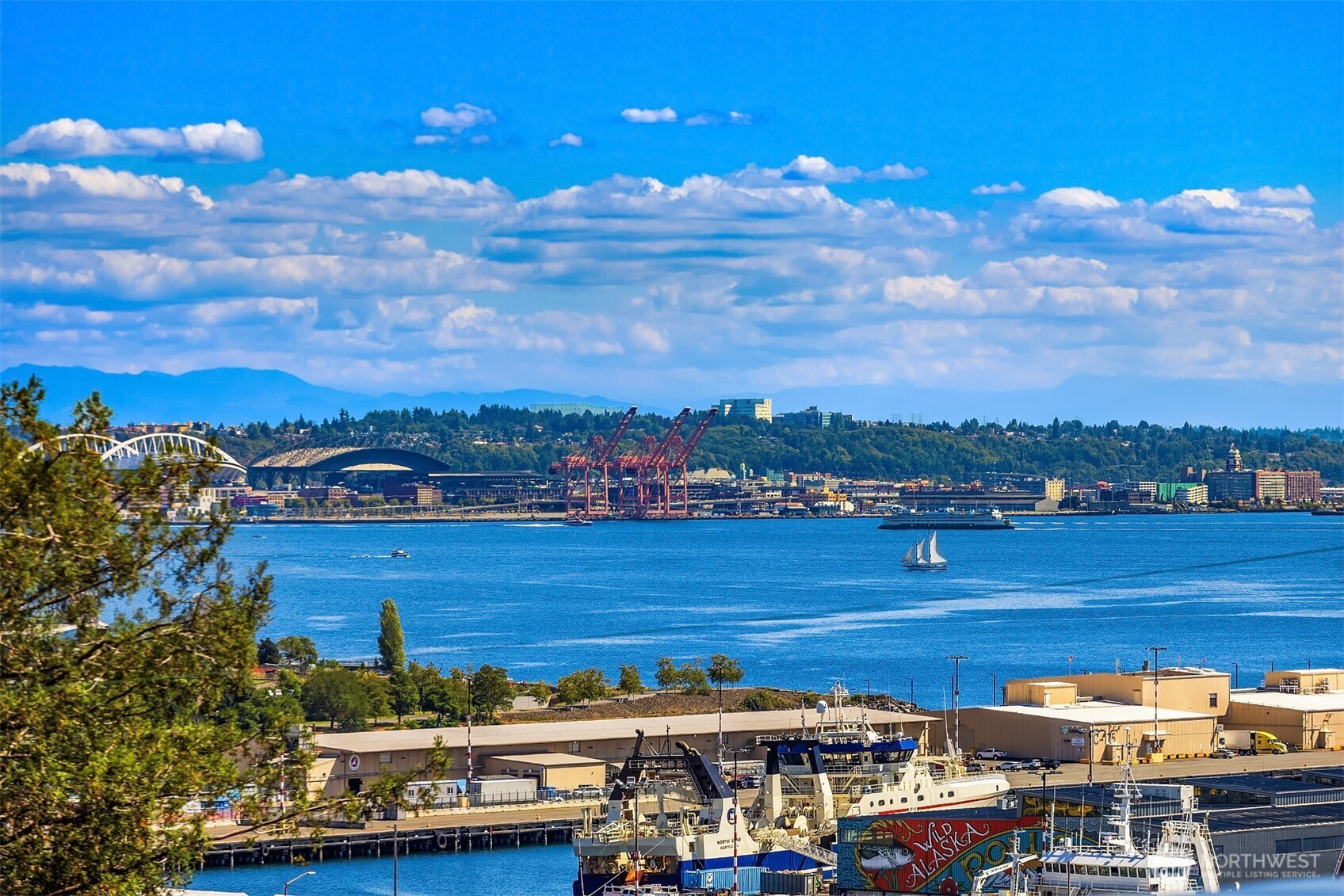 2344 W Plymouth Street, Seattle, WA 98199