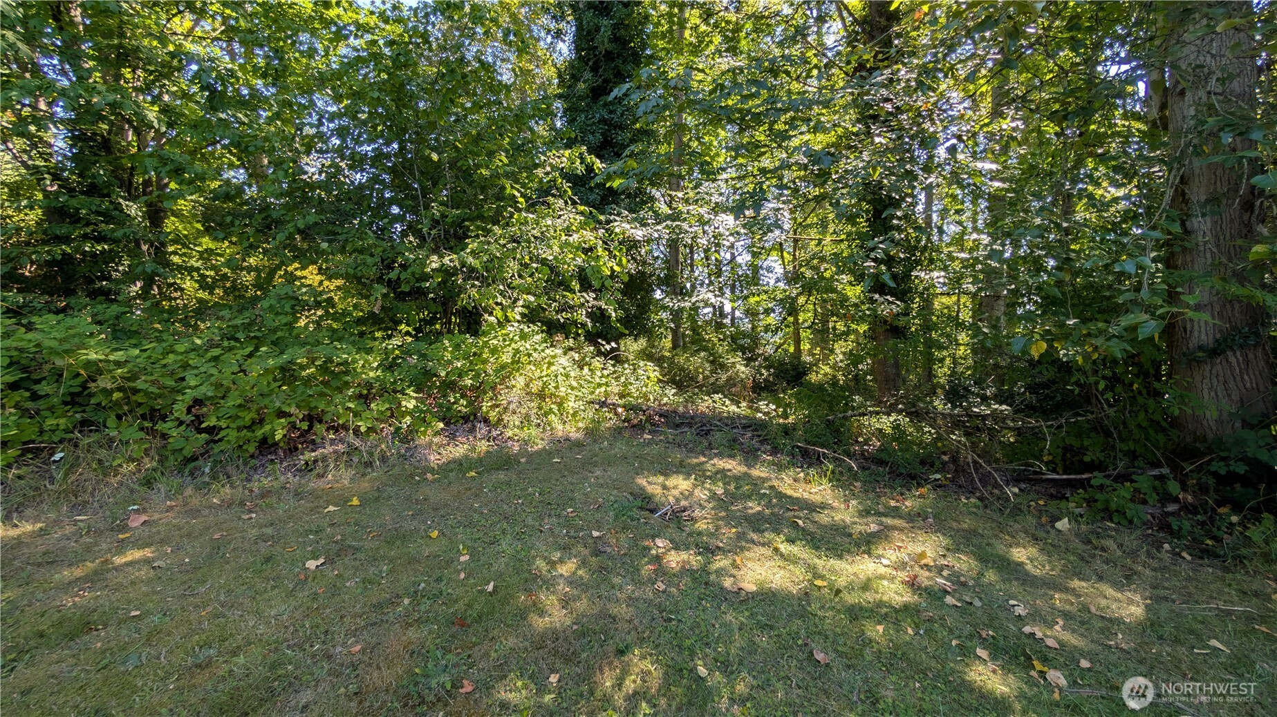 0 E Maryland Street Pl, Bellingham, WA 98226