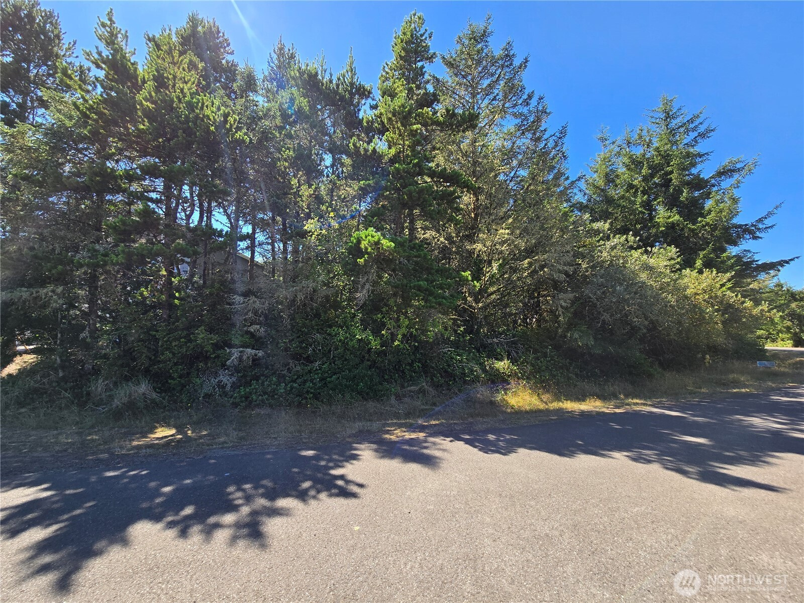 735 Pennisula Court SE, Ocean Shores, WA 98569