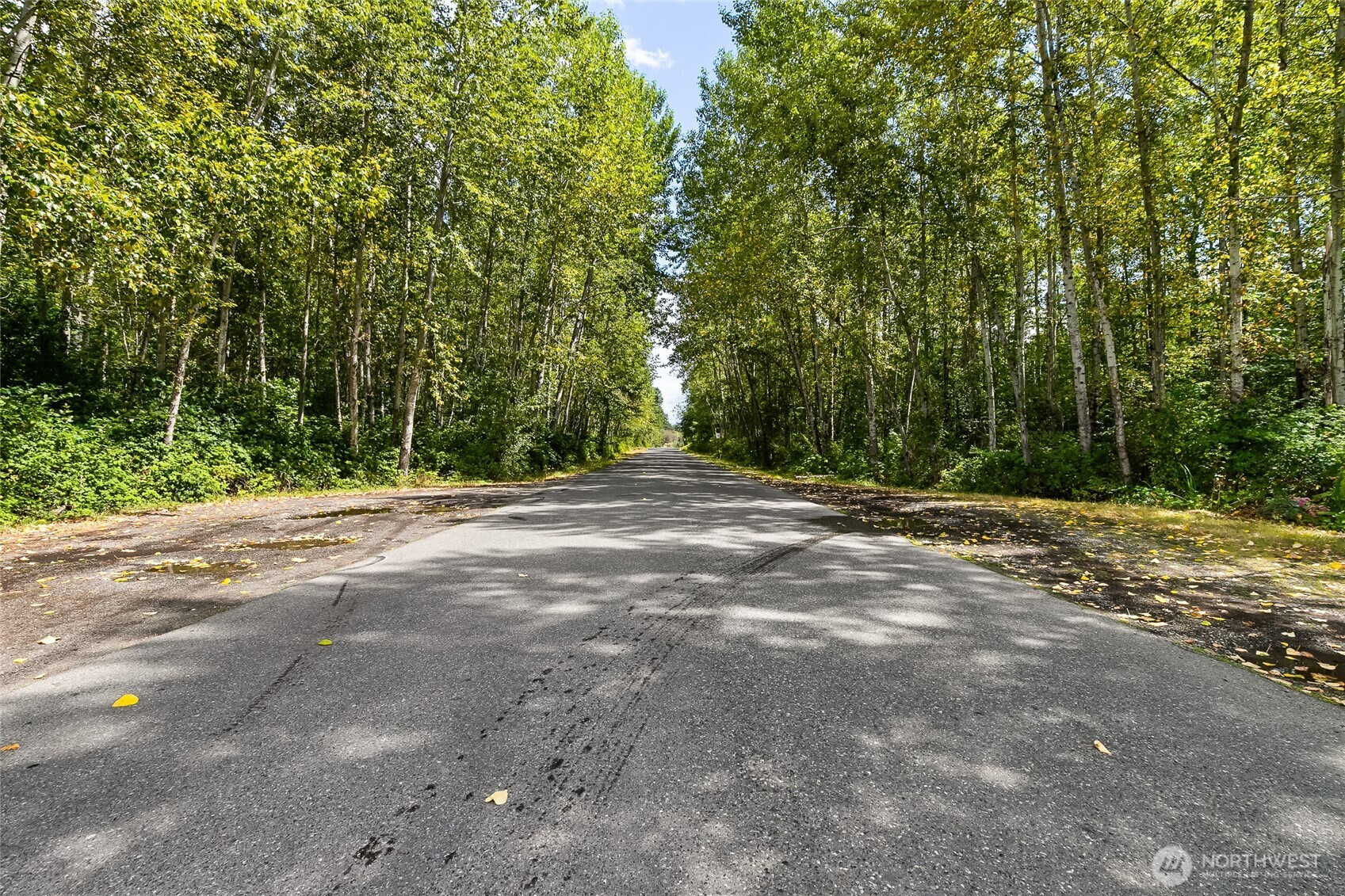 115 155 Tremont Avenue, Bellingham, WA 98226