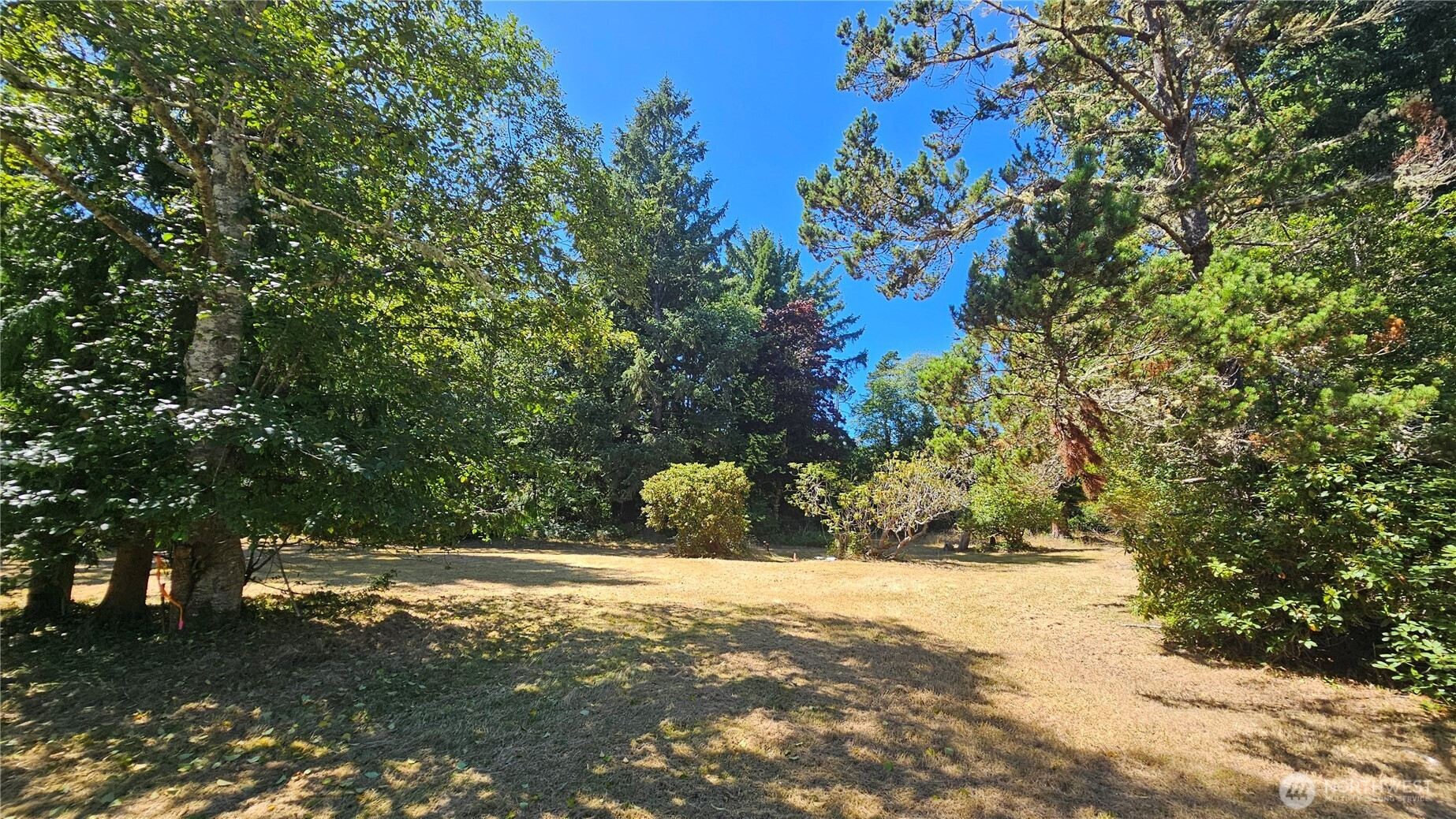 29801 L Lane, Ocean Park, WA 98640