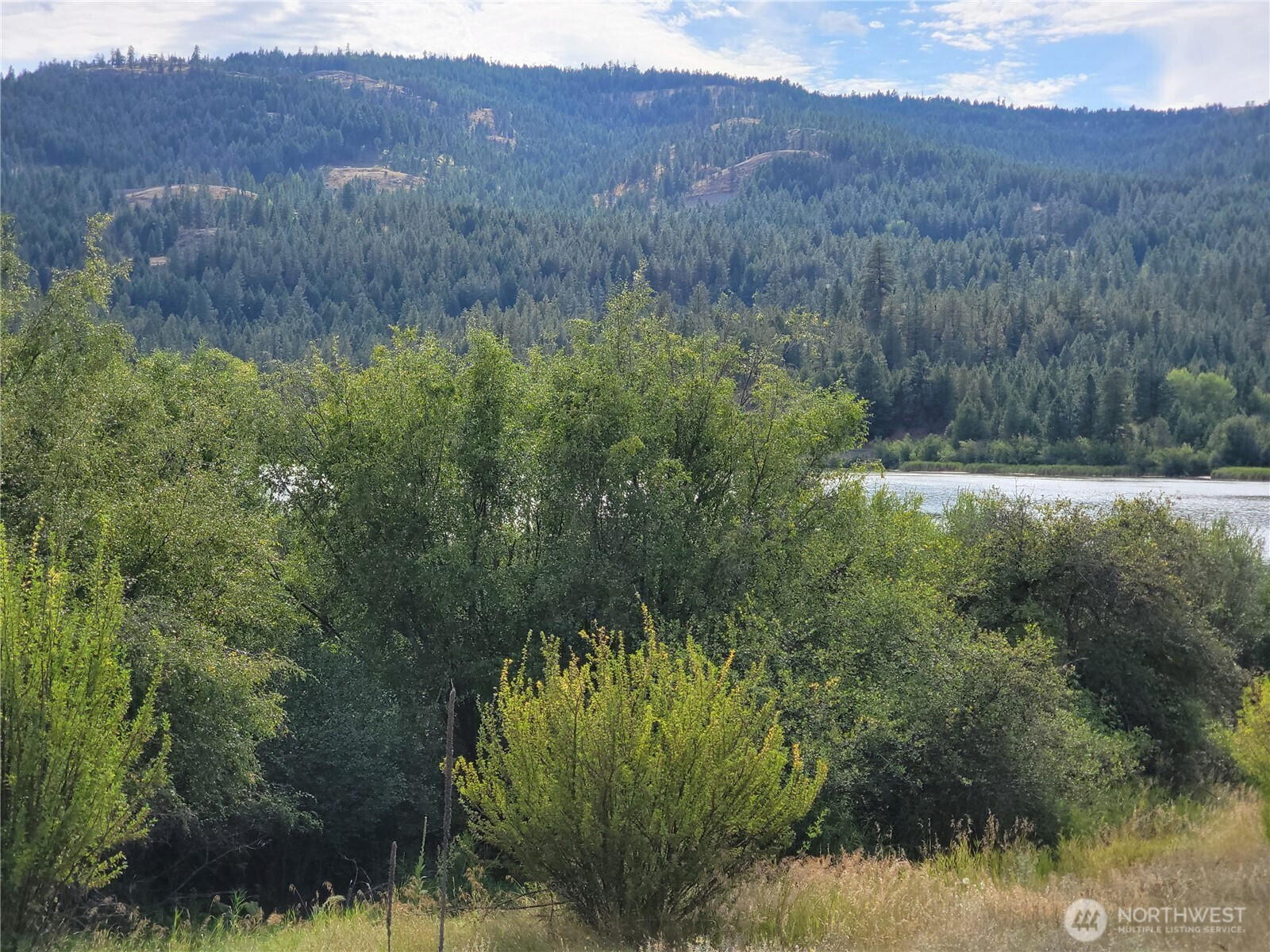 0 Curlew Drive, Republic, WA 99166