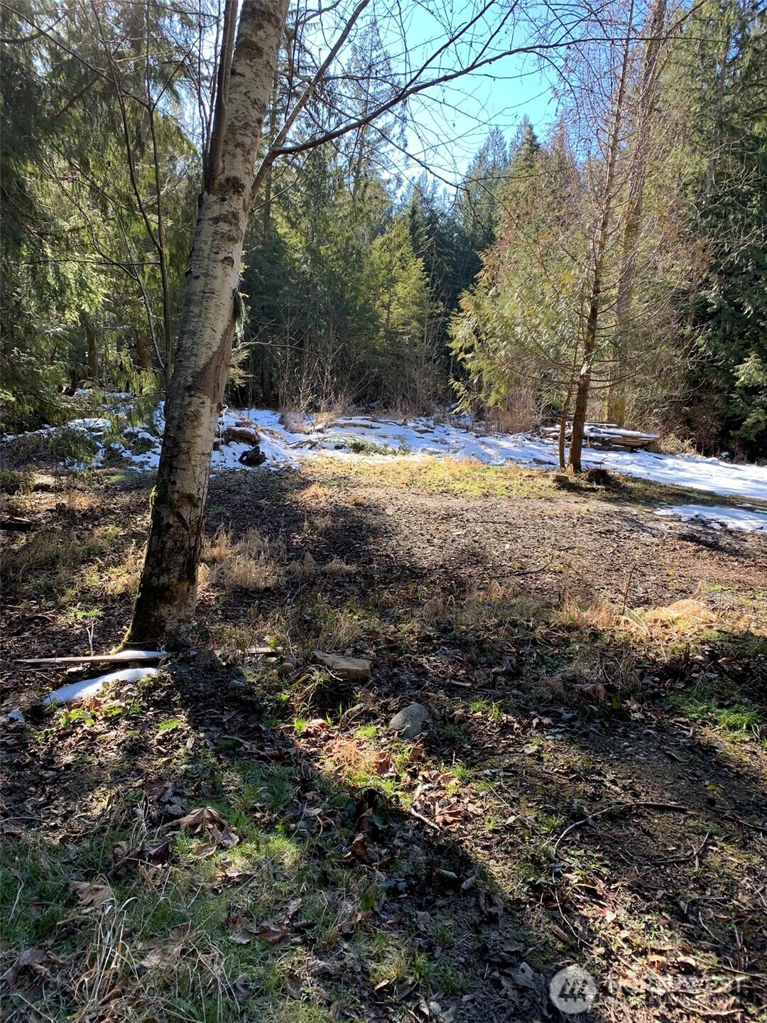 47 XX 250th Avenue SE, Issaquah, WA 98029